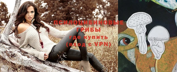 СК Медвежьегорск