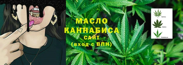 дмт Медногорск