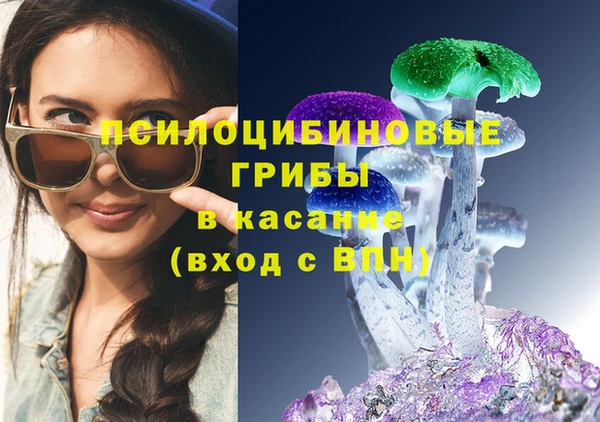 СК Медвежьегорск