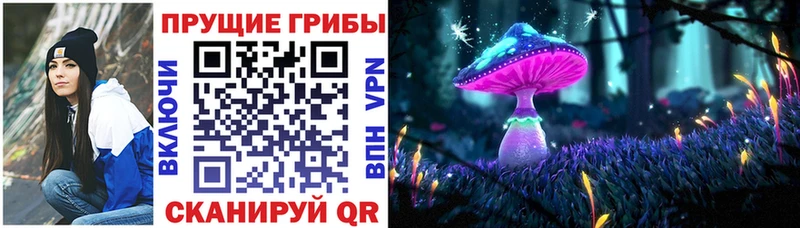 Купить где  Лаишево  Галлюциногенные грибы Magic Shrooms 